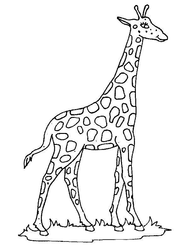 Plansa de colorat cu Girafa 11 3